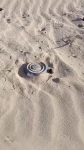 video/mp4 | 200