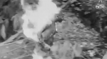 video/webm | 200