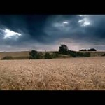video/mp4 | 200