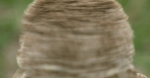 image/gif | 200