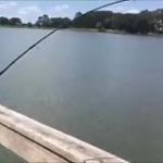 video/mp4 | 200