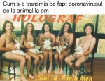 image/png | 200