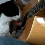 video/mp4 | 200