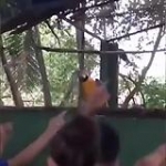 video/mp4 | 200