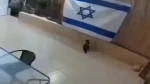 video/webm | 200