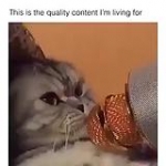 video/mp4 | 200
