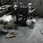 video/mp4 | 200