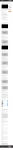 text/html; charset=utf-8 | 200