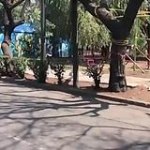 video/mp4 | 200