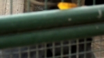 video/webm | 200