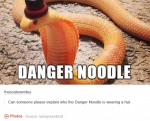 image/png | 200