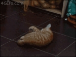 image/gif | 200