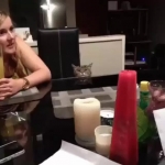 video/webm | 200