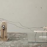 video/mp4 | 200