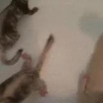 video/webm | 200