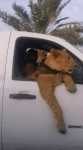 video/webm | 200
