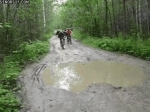image/gif | 200