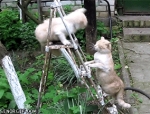 image/gif | 200