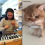 video/mp4 | 200