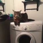 video/mp4 | 200