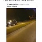 video/mp4 | 200