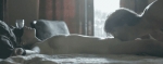 image/gif | 200