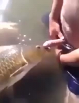 video/webm | 200