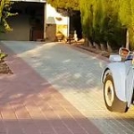 video/mp4 | 200