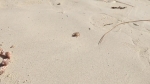 video/webm | 200