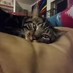 video/mp4 | 200
