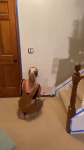 video/webm | 200