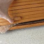video/mp4 | 200
