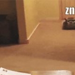 video/mp4 | 200