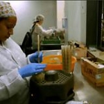 video/mp4 | 200