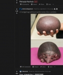 image/png | 200