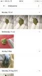 image/png | 200