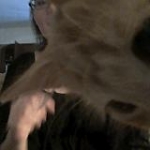 video/mp4 | 200