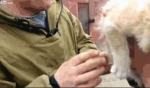 video/webm | 200