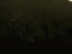 video/mp4 | 200