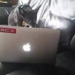 video/mp4 | 200
