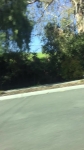 video/webm | 200