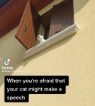 image/png | 200