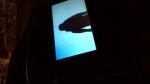 video/mp4 | 200