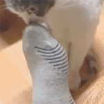 image/gif | 200