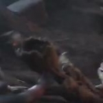 video/mp4 | 200