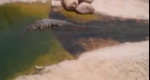 video/mp4 | 200