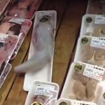 video/mp4 | 200