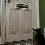 video/mp4 | 200