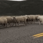 image/gif | 200
