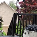 video/mp4 | 200